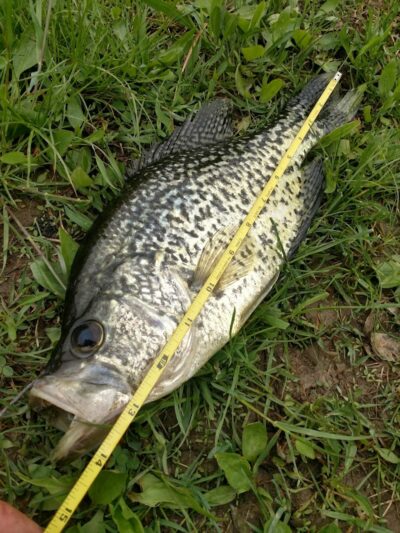 Reservoir Park - Grafton, OH