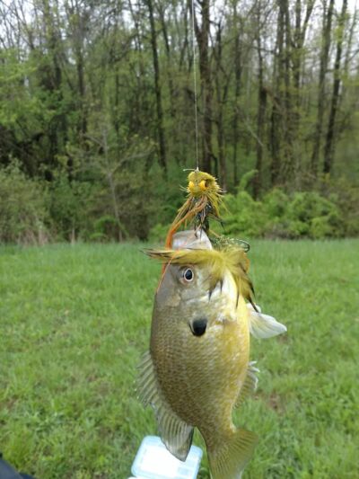 Reservoir Park - Grafton, OH