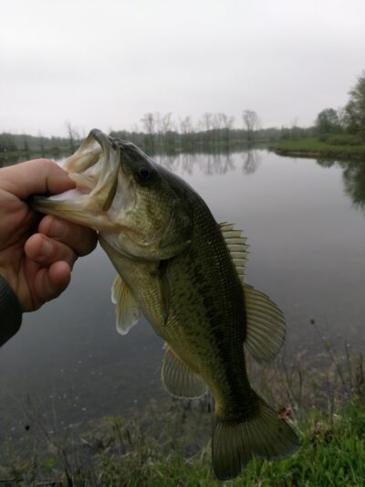 Reservoir Park - Grafton, OH