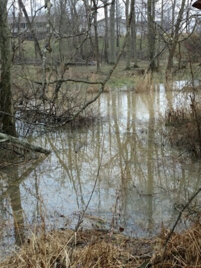 Reservoir Park - Grafton, OH