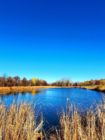 Royal Oaks, Lorain County Metro Parks - Grafton, OH