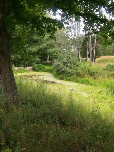 Royal Oaks, Lorain County Metro Parks - Grafton, OH