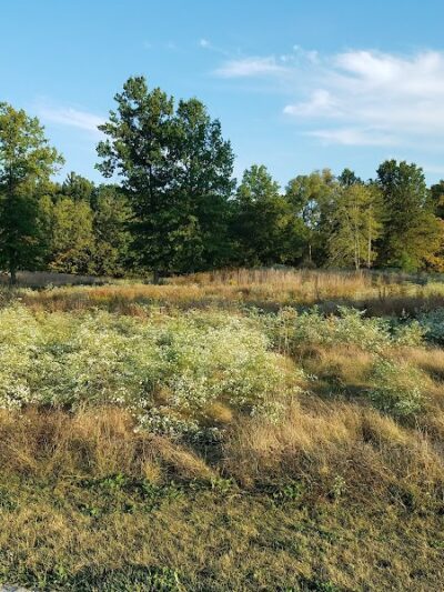 Royal Oaks, Lorain County Metro Parks - Grafton, OH