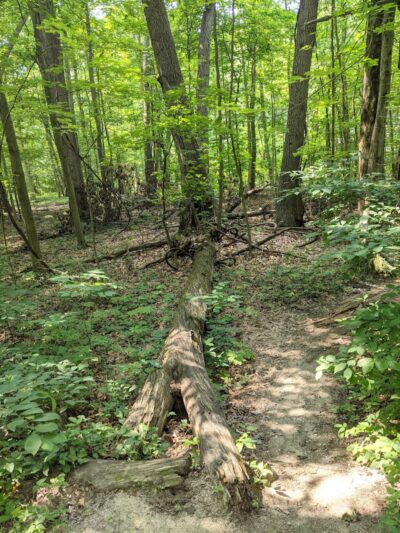Royal Oaks, Lorain County Metro Parks - Grafton, OH