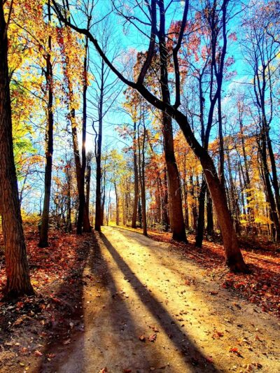 Royal Oaks, Lorain County Metro Parks - Grafton, OH