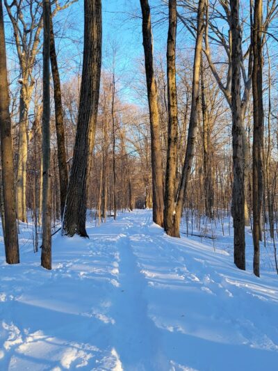 Royal Oaks, Lorain County Metro Parks - Grafton, OH