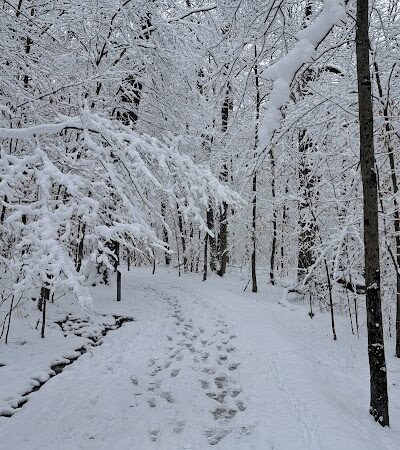 Sheldon Woods - Grafton, OH