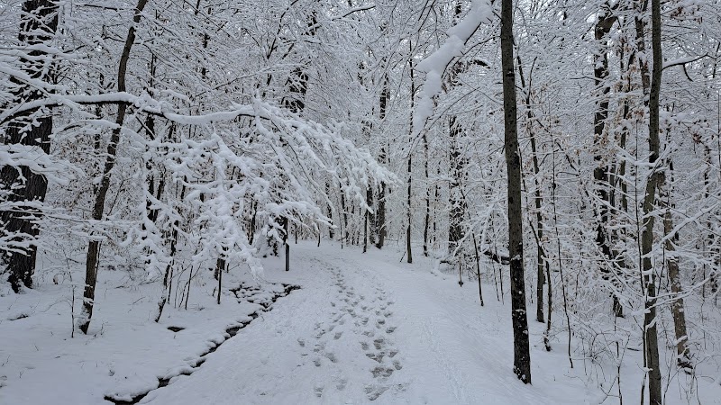 Sheldon Woods - Grafton, OH