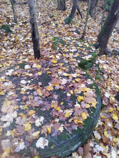 Sheldon Woods - Grafton, OH