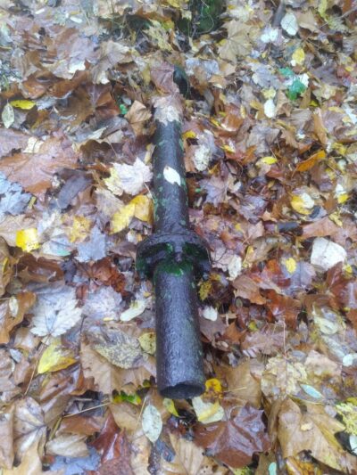 Sheldon Woods - Grafton, OH