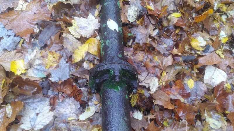 Sheldon Woods - Grafton, OH