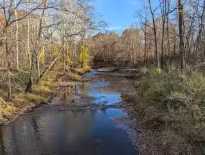 Sheldon Woods - Grafton, OH