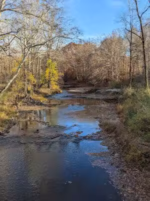 Sheldon Woods - Grafton, OH