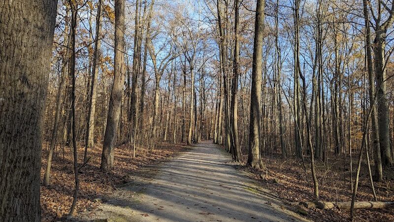 Sheldon Woods - Grafton, OH