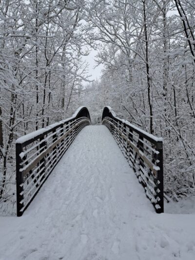 Sheldon Woods - Grafton, OH