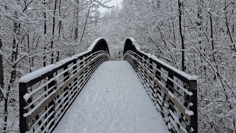 Sheldon Woods - Grafton, OH