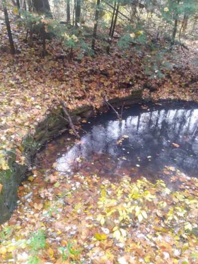 Sheldon Woods - Grafton, OH