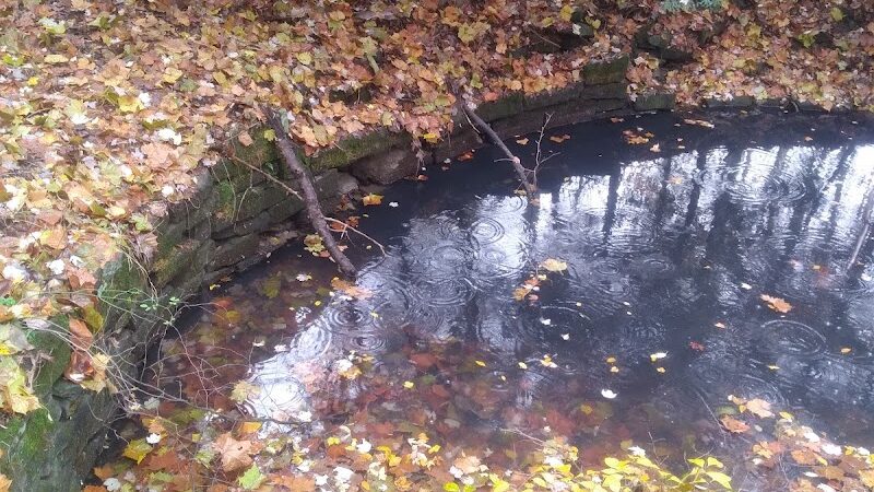 Sheldon Woods - Grafton, OH