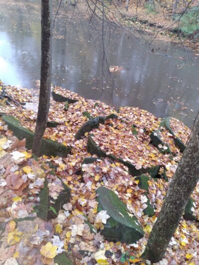 Sheldon Woods - Grafton, OH