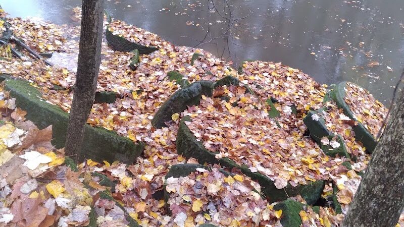 Sheldon Woods - Grafton, OH