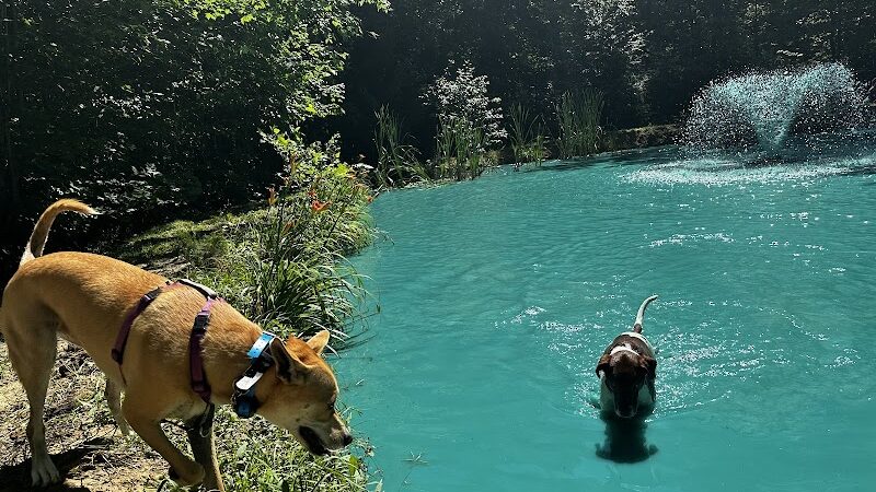 The Doggie Inn - Grafton, OH