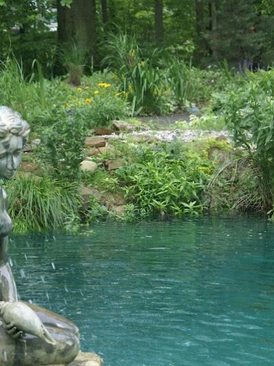 The Doggie Inn - Grafton, OH