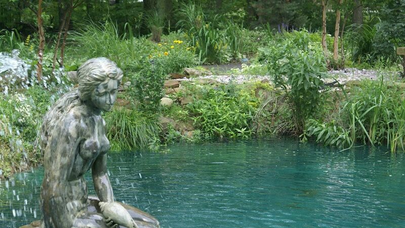 The Doggie Inn - Grafton, OH