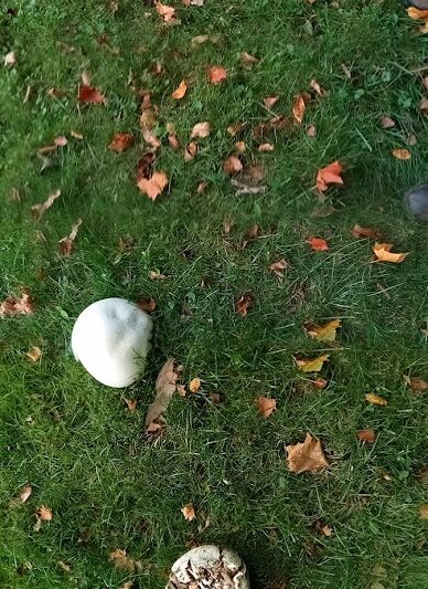 Willow Park - Grafton, OH