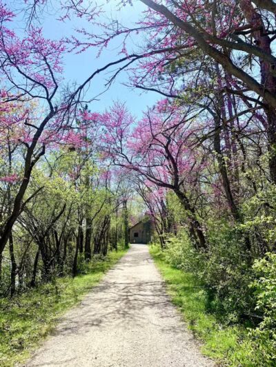 Bend View Metropark Trailhead - Grand Rapids, OH