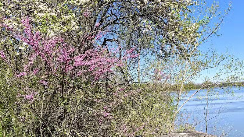 Bend View Metropark Trailhead - Grand Rapids, OH