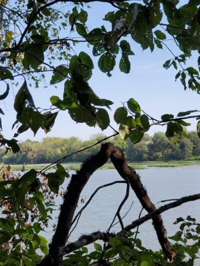 Bend View Metropark Trailhead - Grand Rapids, OH