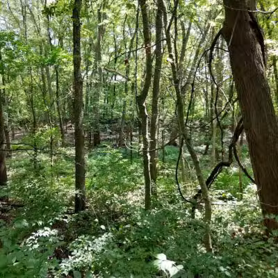 Bend View Metropark Trailhead - Grand Rapids, OH