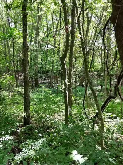 Bend View Metropark Trailhead - Grand Rapids, OH