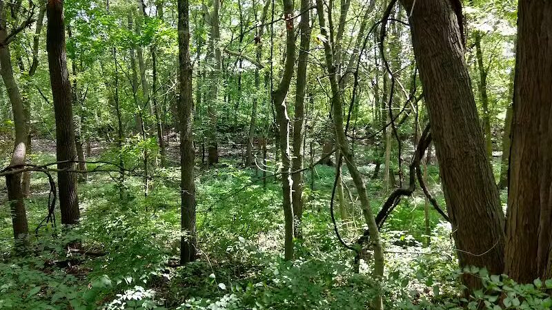 Bend View Metropark Trailhead - Grand Rapids, OH