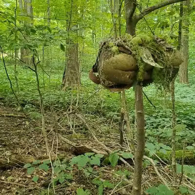 Infirmary Mound Park - Granville, OH