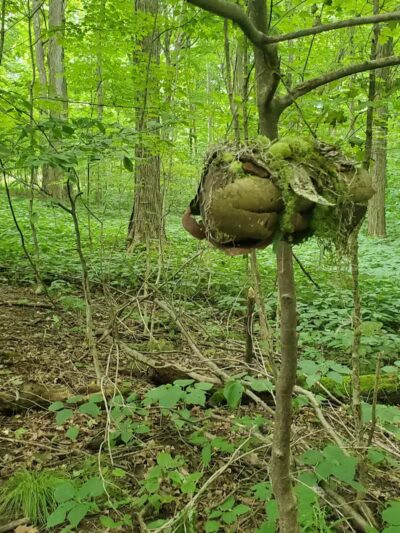 Infirmary Mound Park - Granville, OH