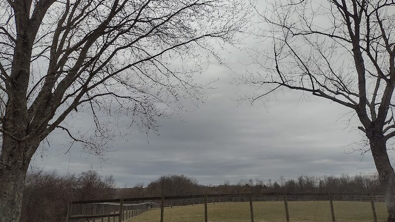 Paws 2 Play Dog Park - Granville, OH
