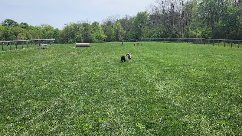 Paws 2 Play Dog Park - Granville, OH