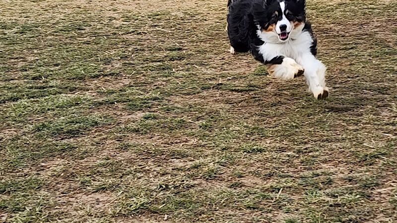 Paws 2 Play Dog Park - Granville, OH