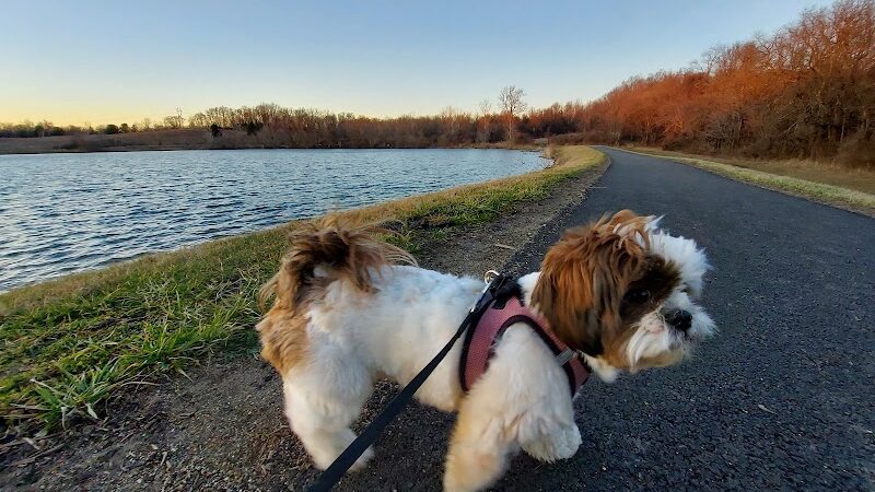 Paws 2 Play Dog Park - Granville, OH