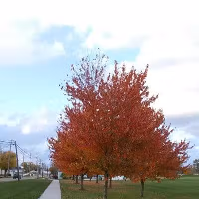 Greensburg Park - Green, OH