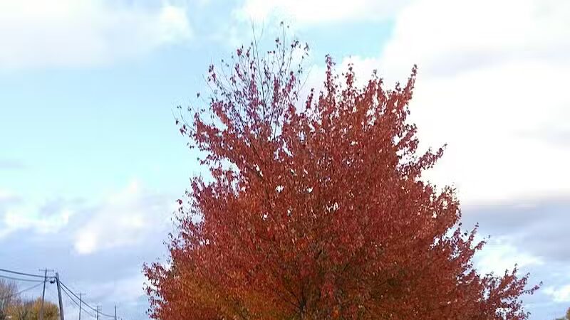 Greensburg Park - Green, OH