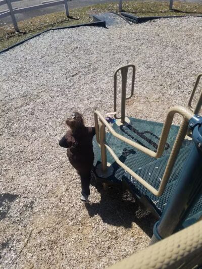 Greensburg Park - Green, OH