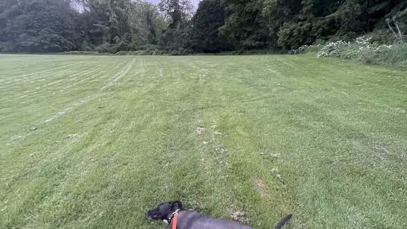 Paws Park - Greenfield, MA