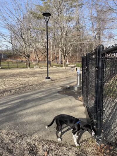 Paws Park - Greenfield, MA