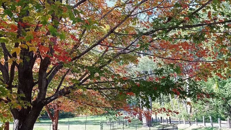 Paws Park - Greenfield, MA