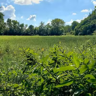 Felson Park - Greenfield, OH