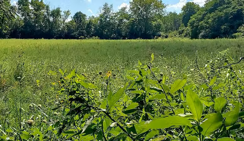 Felson Park - Greenfield, OH