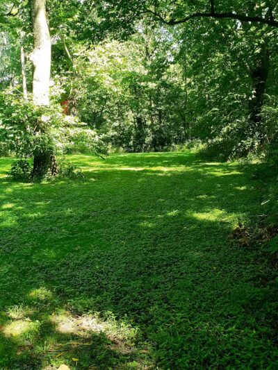 Felson Park - Greenfield, OH