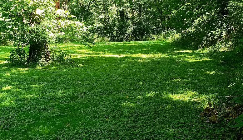 Felson Park - Greenfield, OH